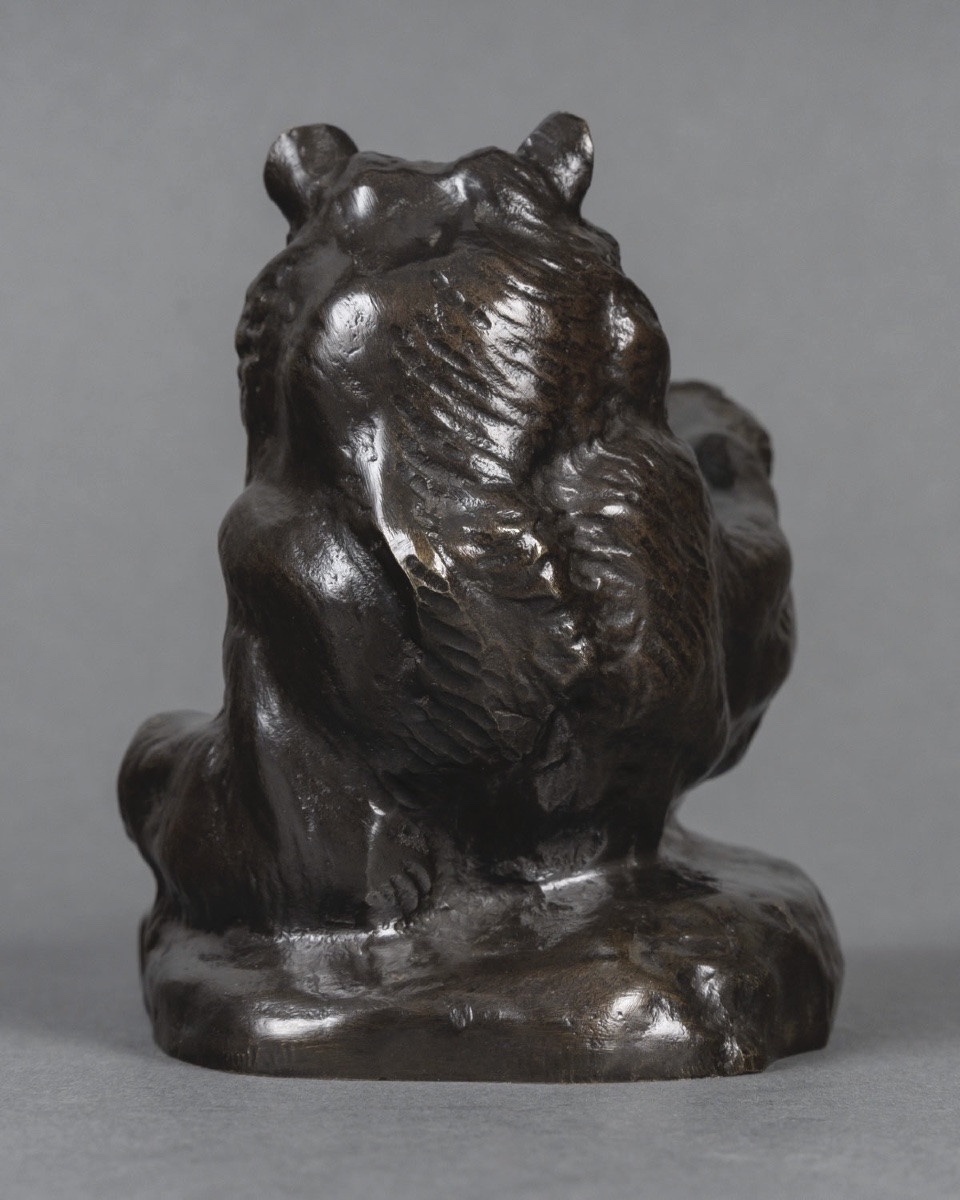 Sculpture - Reclining Bear , Antoine - Louis Barye (1795–1875) - Bronze-photo-3