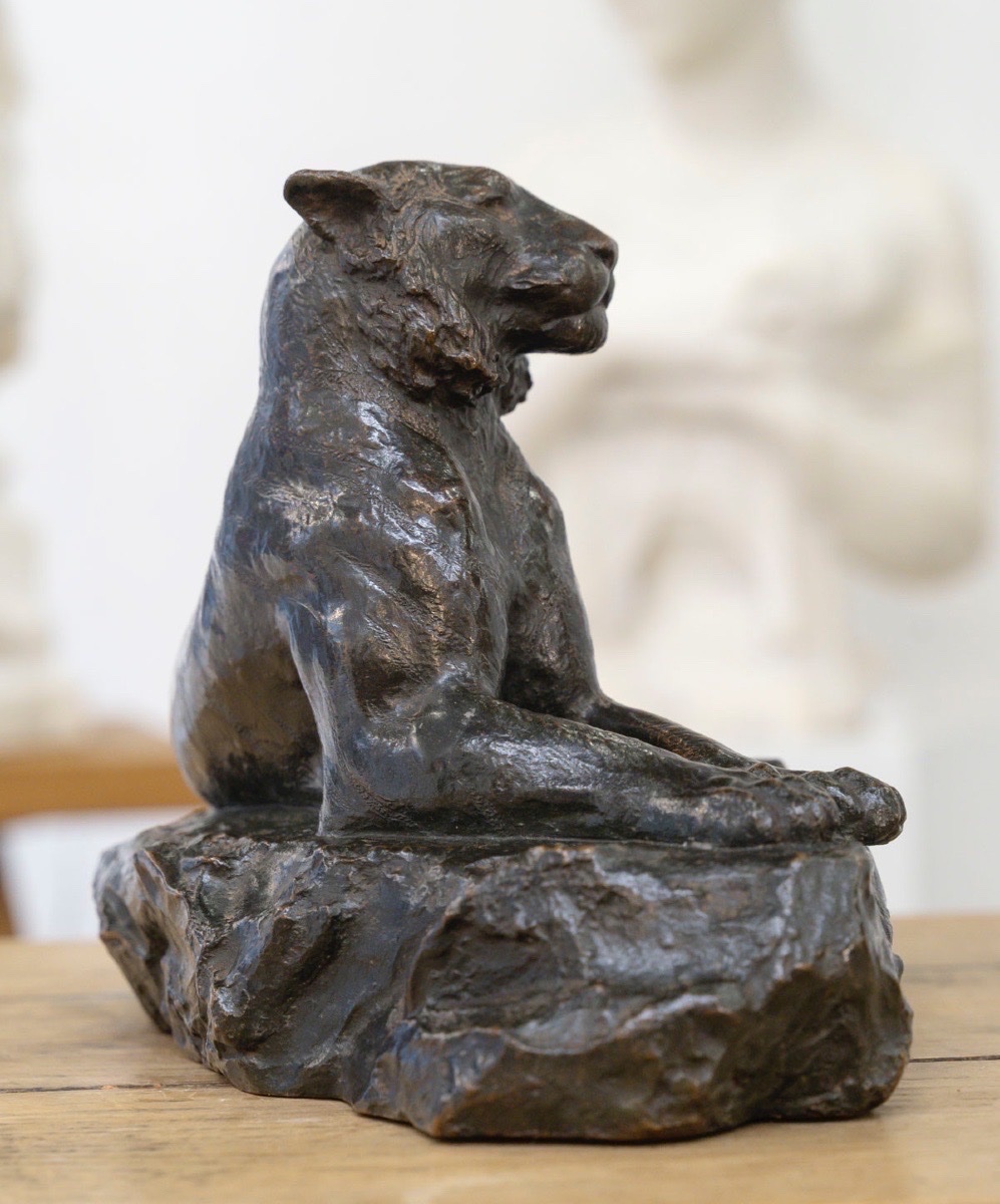 Sculpture - The Reclining Lioness , François Auguste Hippolyte Peyrol (1856–1929) - Bronze-photo-4