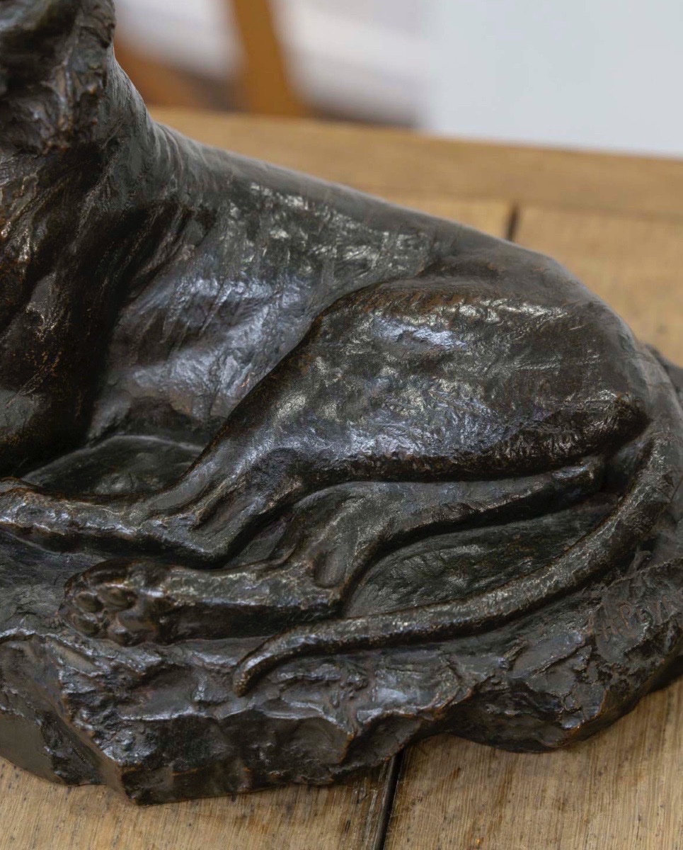 Sculpture - The Reclining Lioness , François Auguste Hippolyte Peyrol (1856–1929) - Bronze-photo-3