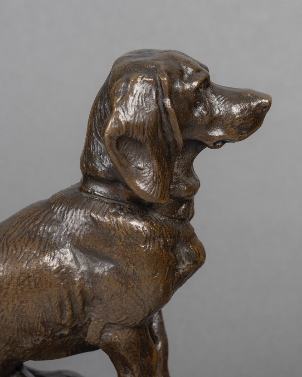 Sculpture - Ravageot , The Seated Basset By Emmanuel Fremiet (1824–1910) - Bronze-photo-4