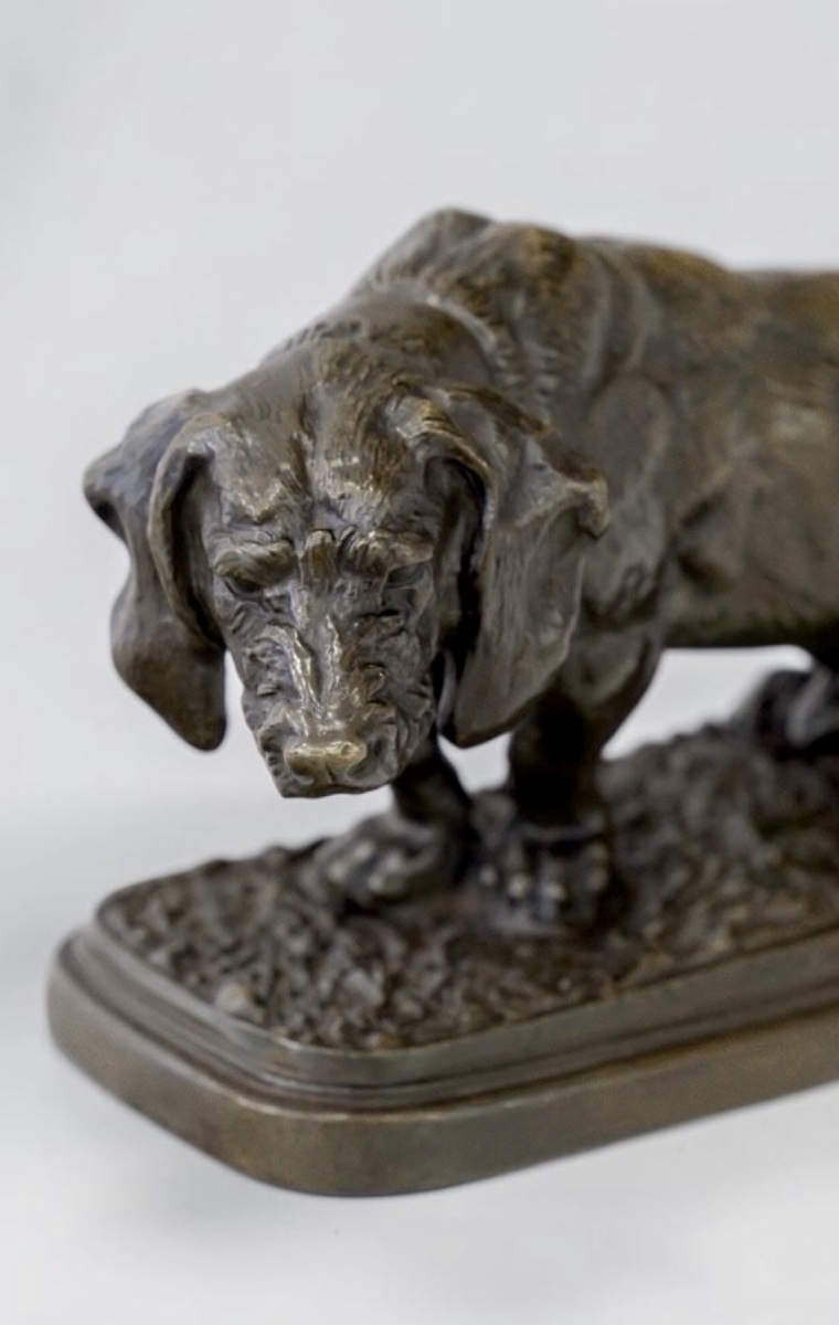 Sculpture - The Seated Basset , Antoine-louis Barye (1795–1875) - Bronze-photo-3