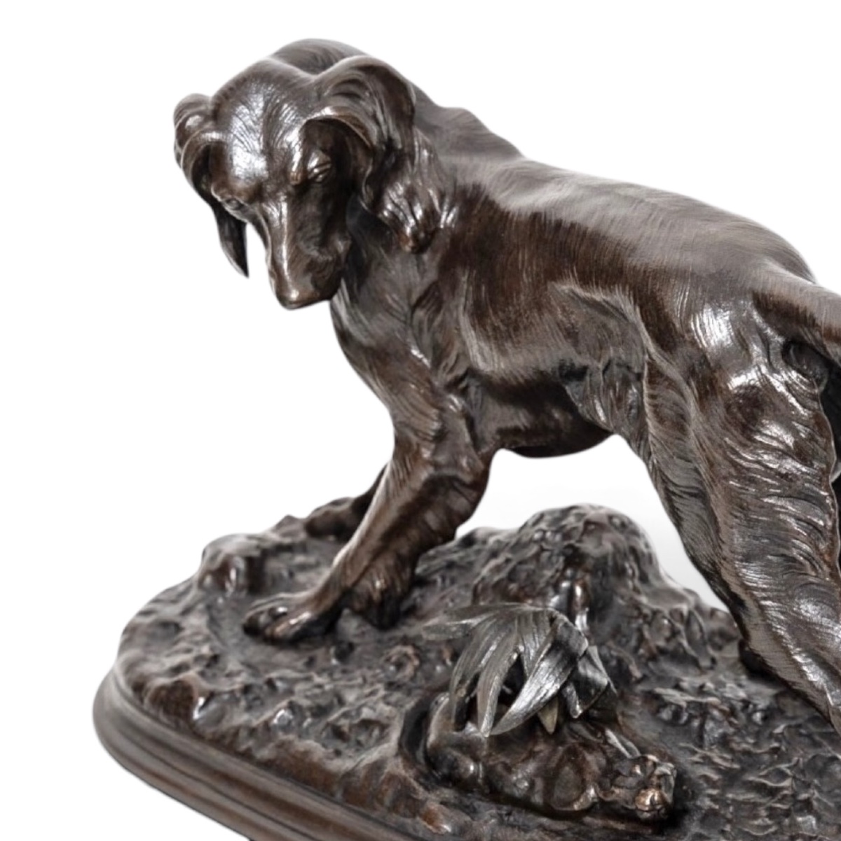 Sculpture - Setter Au Lapin , Jules Moigniez (1835-1894) - Bronze-photo-3