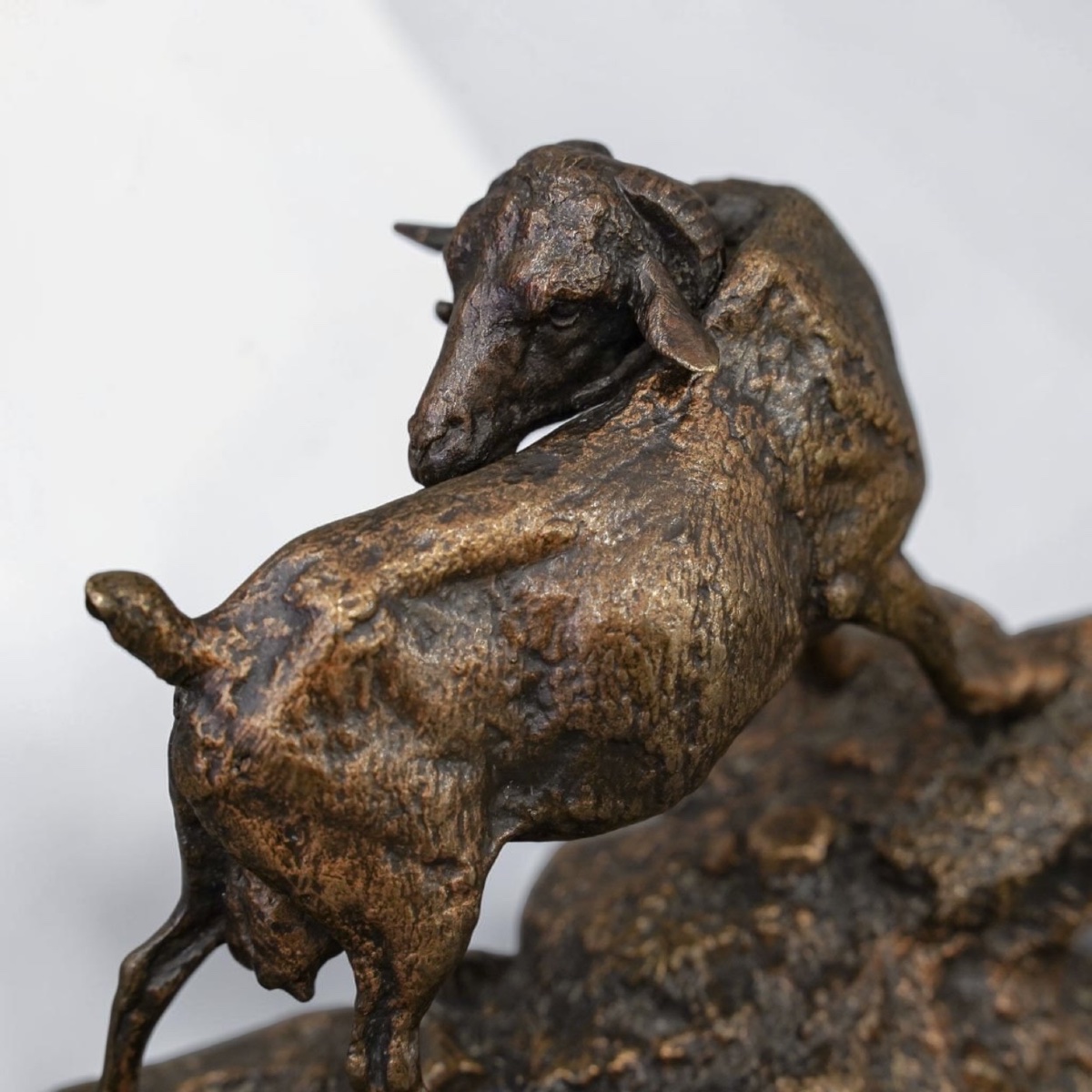 Sculpture - The Indian Goat , Pierre - Jules Mêne (1810–1879) - Bronze-photo-4
