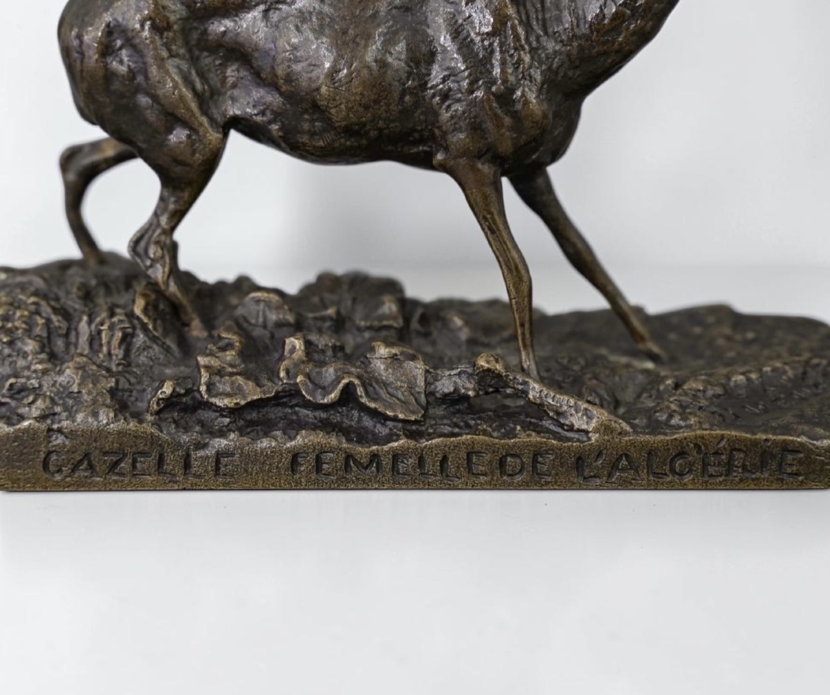 Sculpture - Female Algerian Gazelle , Pierre - Jules Mêne (1810–1879) - Bronze-photo-4