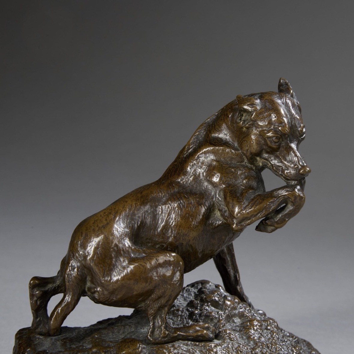 Sculpture - Chien Ratier Léchant Sa Patte , Pierre - Jules Mêne (1810-1879) - Bronze-photo-2