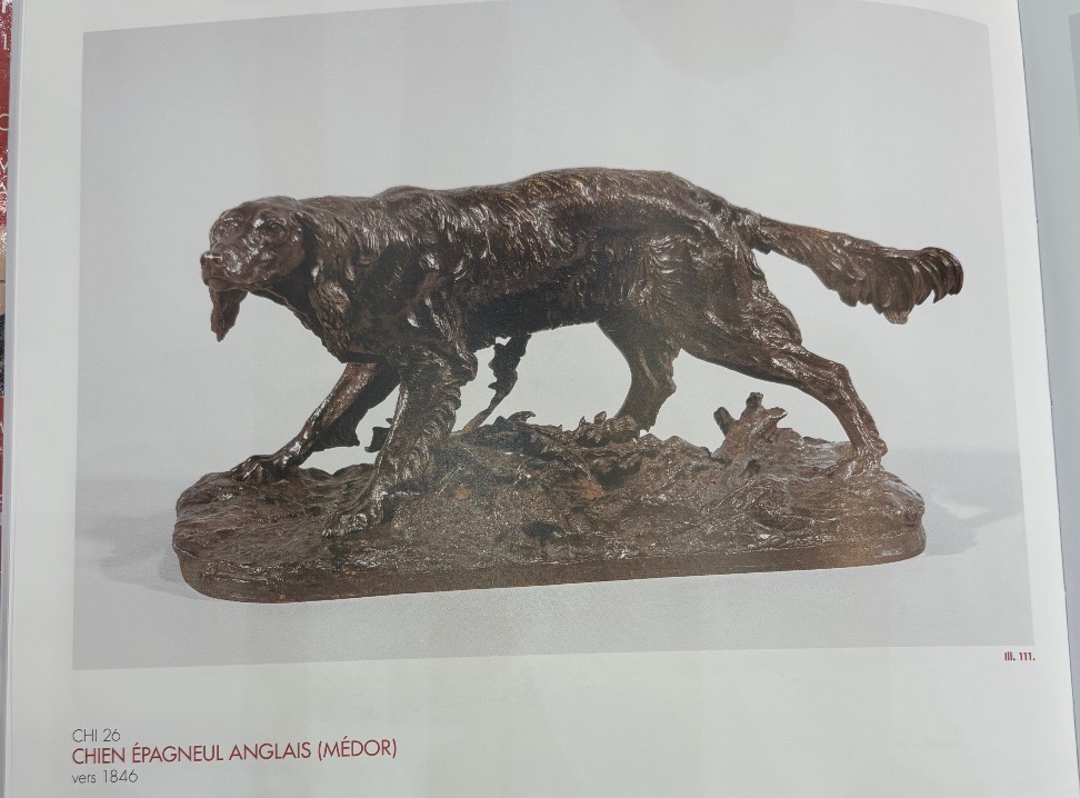 Sculpture - Chien Épagneul Anglais , MÉDOR Par Pierre - Jules Mêne (1810-1879) - Bronze -photo-5