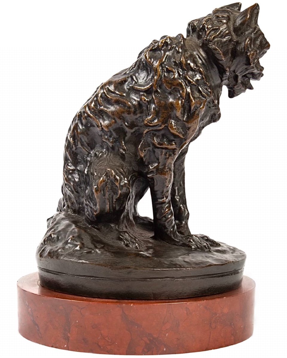 Sculpture - Chien Griffon Assis Par Pierre - Jules Mène (1810-1879) - Bronze-photo-1