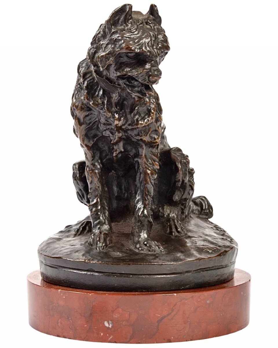 Sculpture - Chien Griffon Assis Par Pierre - Jules Mène (1810-1879) - Bronze
