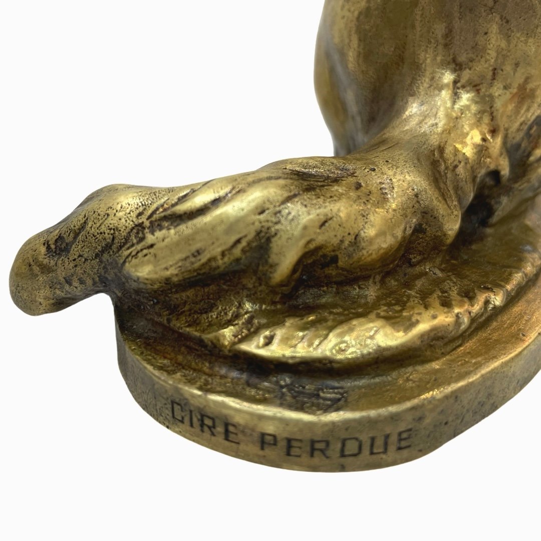 Sculpture - Chat Assis Par Thomas FranÇois Cartier (1879-1943) - Bronze-photo-5