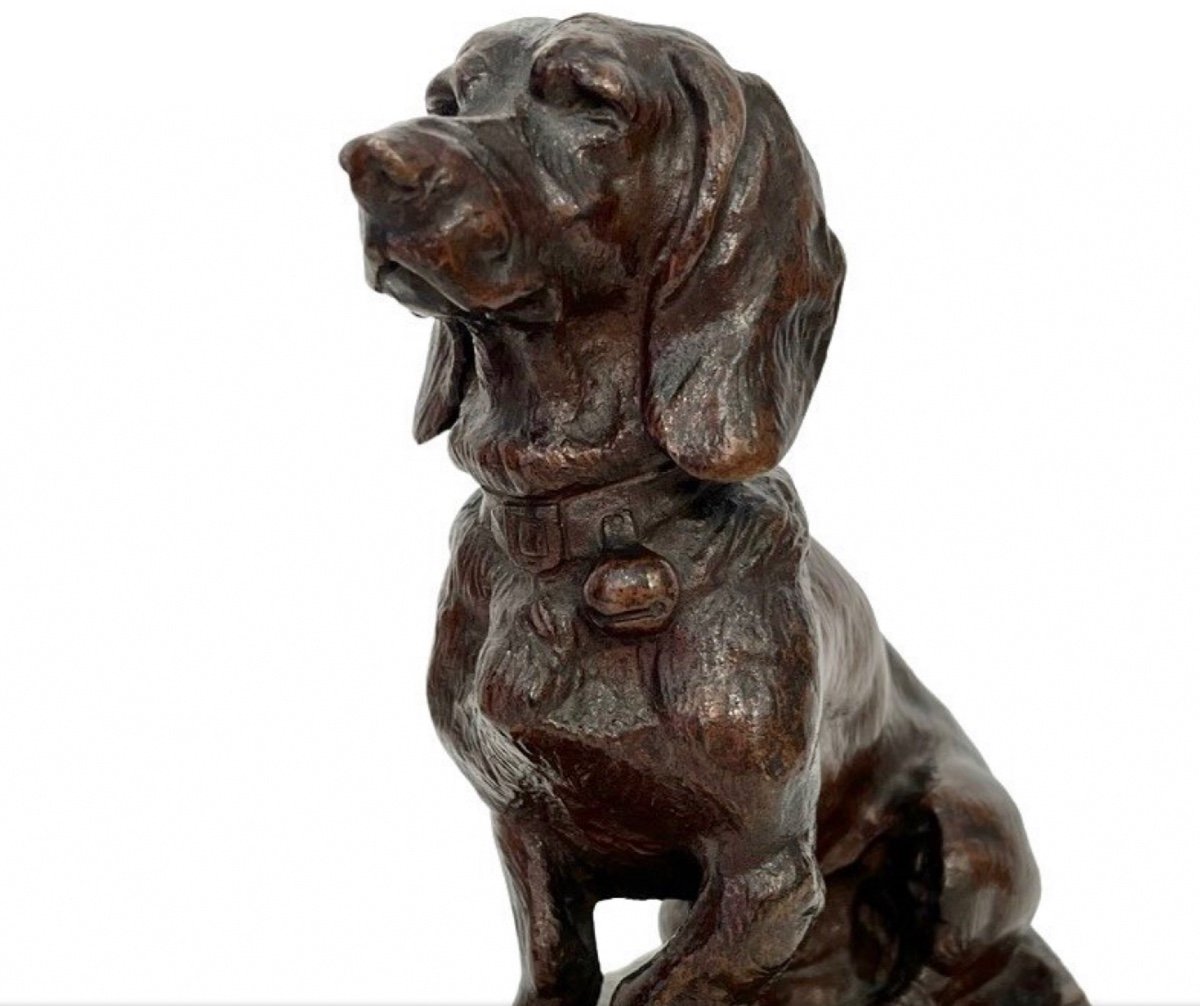 Sculpture - Basset Hound By Emmanuel Frémiet (1824 - 1910) - Bronze XIXth Century-photo-1