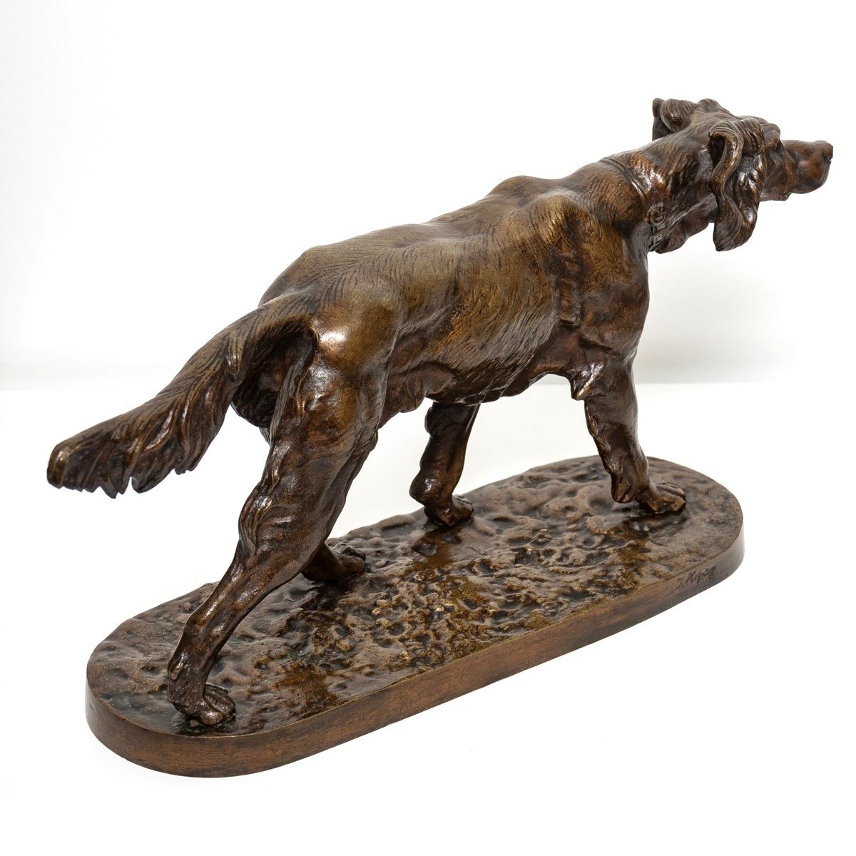 Sculpture - Setter Dog By Jules Moigniez (1835 - 1894) - Bronze XIX Th Century-photo-3