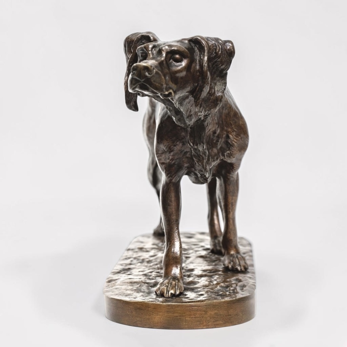 Sculpture - Chien Setter , Jules Moigniez (1835 - 1894) - Bronze -photo-2