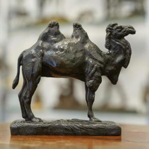 Sculpture - Le Chameau , Alfred Barye (1839-1882) - Bronze 