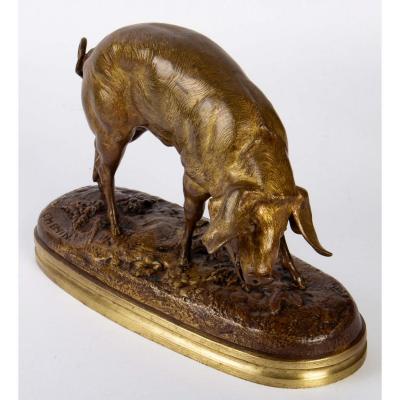 Pig By Victor Chemin (1825-1901)