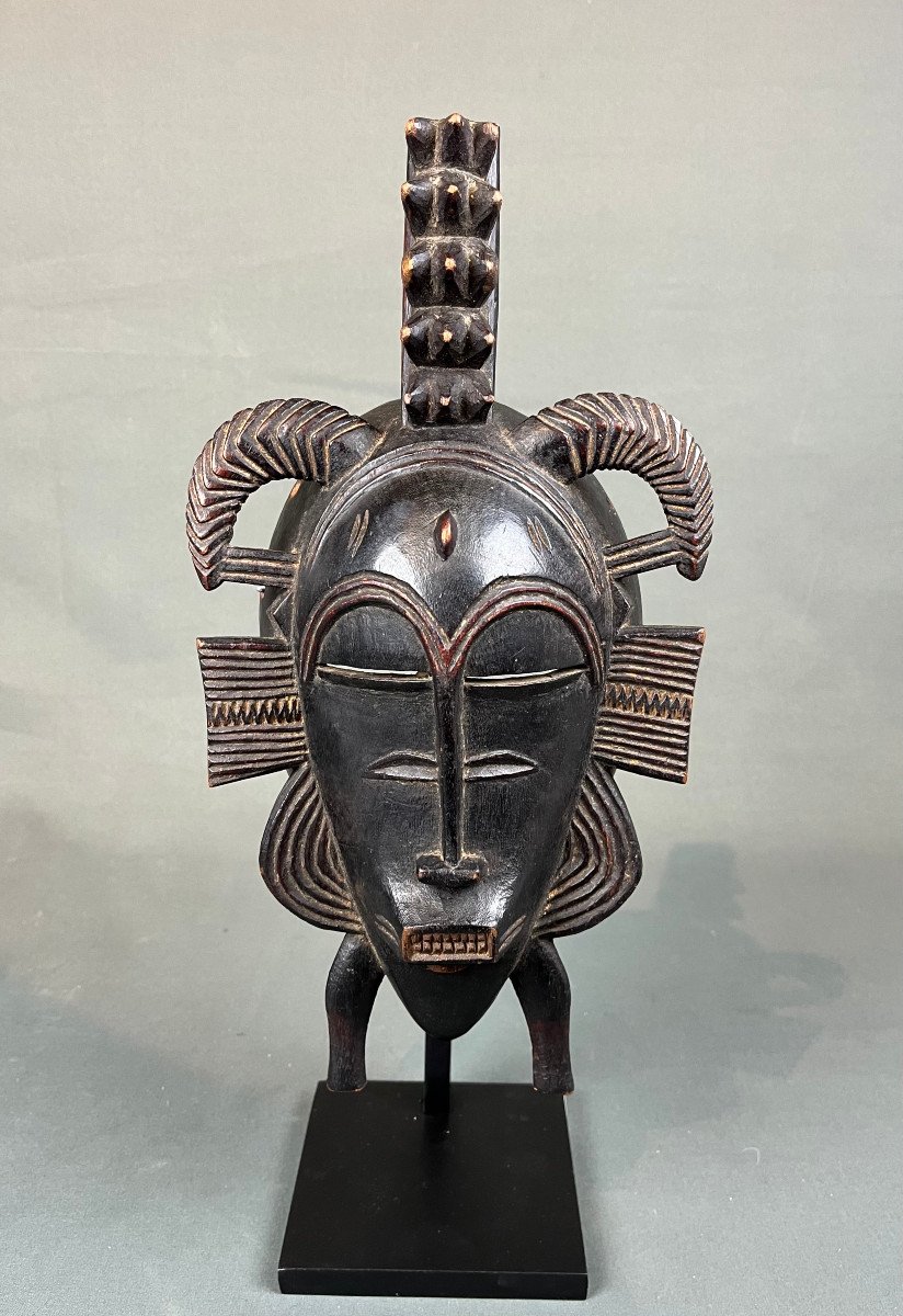 Senufo Kpelie Mask, Ivory Coast-photo-6