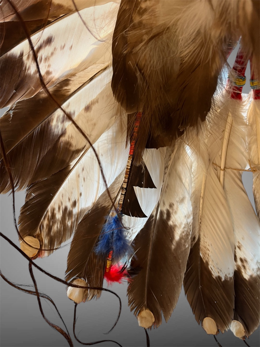 Coiffe Sioux Lakota , Avec Son Certificat Cites -photo-2