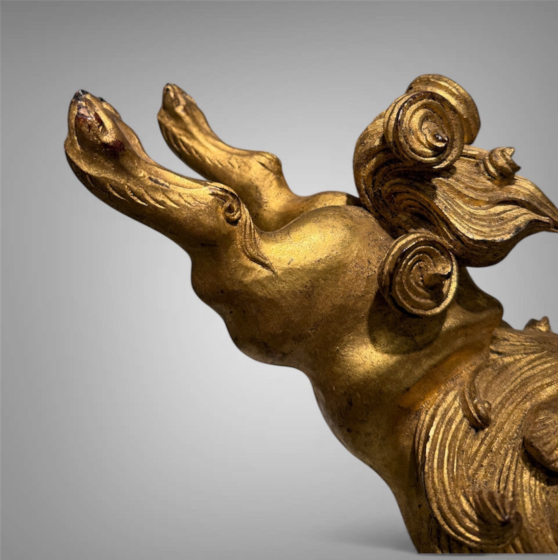 grand maedate  shishi signé Yoshimishi Edo-photo-5