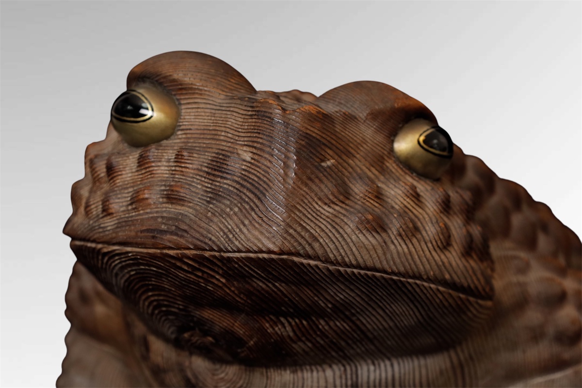 crapaud "kaeru" Japon -photo-3