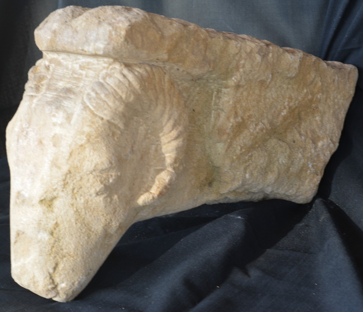 Ram's Head Corbel, 12th Century-photo-1