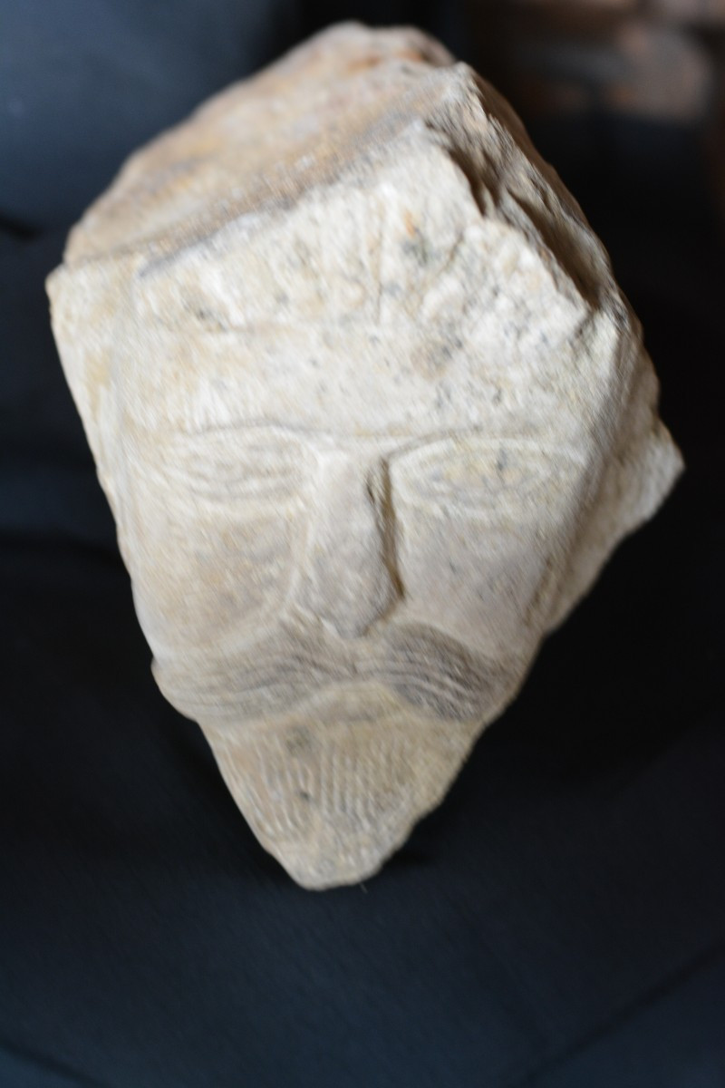 Modillon à tête d'homme à moustache roman-photo-3