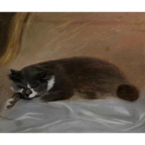 “sleeping Cat” French School Second Part Of The 19th Century Oil On Canvas