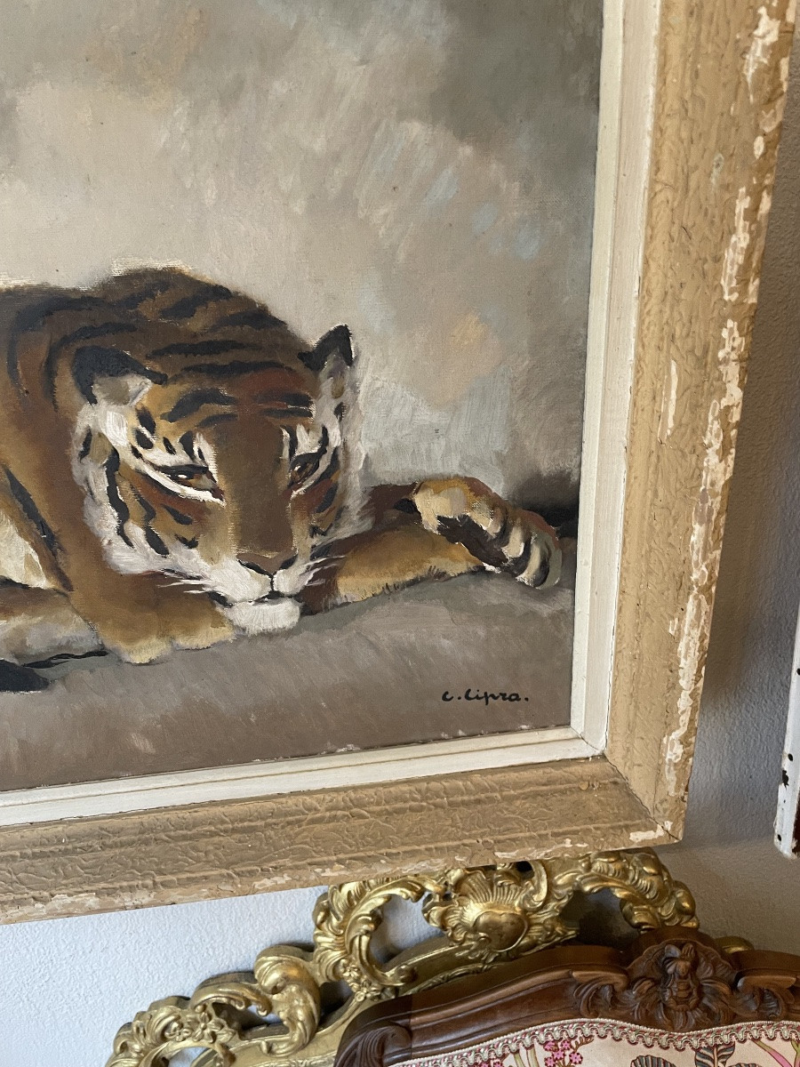 Follower Of Paul Jouve: Oil On Canvas By Camille Cipra , (1896-1952) Reclining Tiger-photo-3