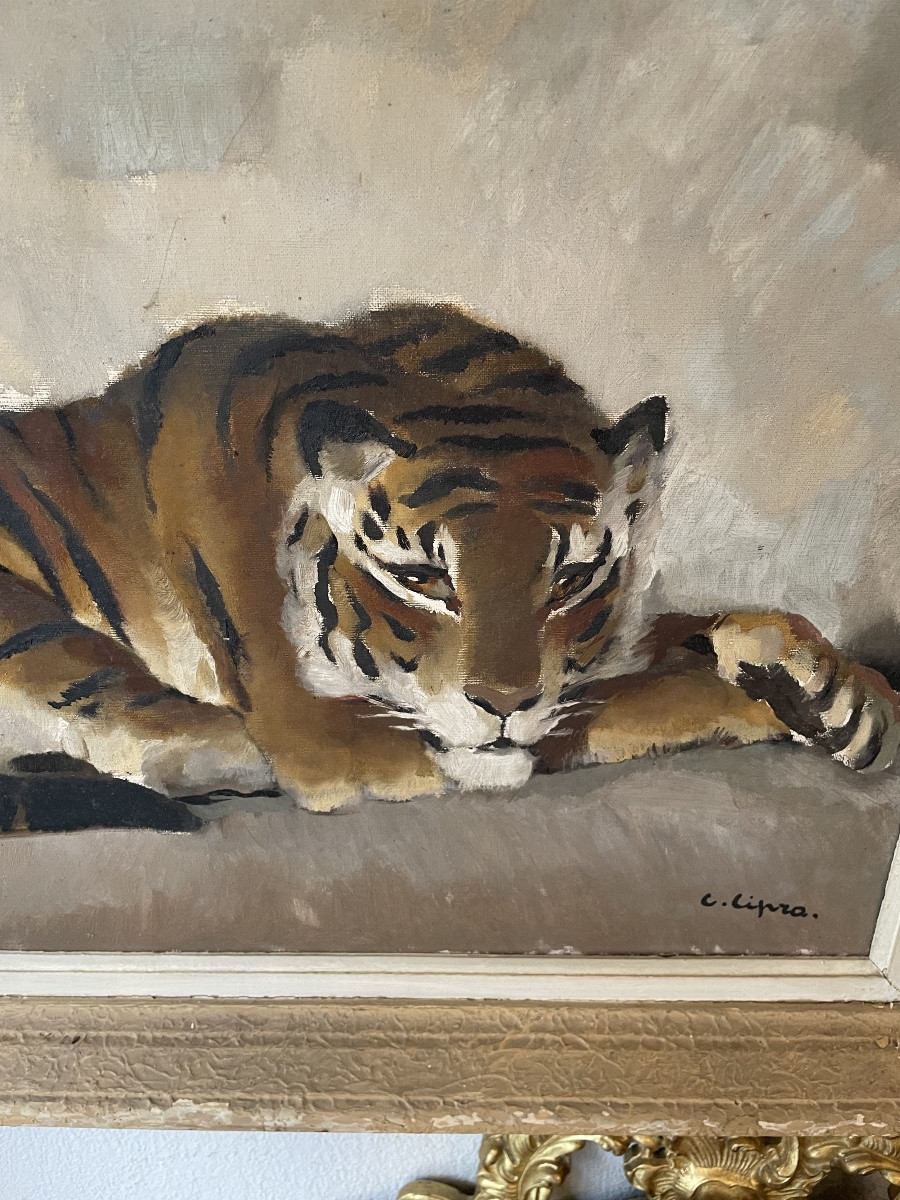 Follower Of Paul Jouve: Oil On Canvas By Camille Cipra , (1896-1952) Reclining Tiger-photo-3