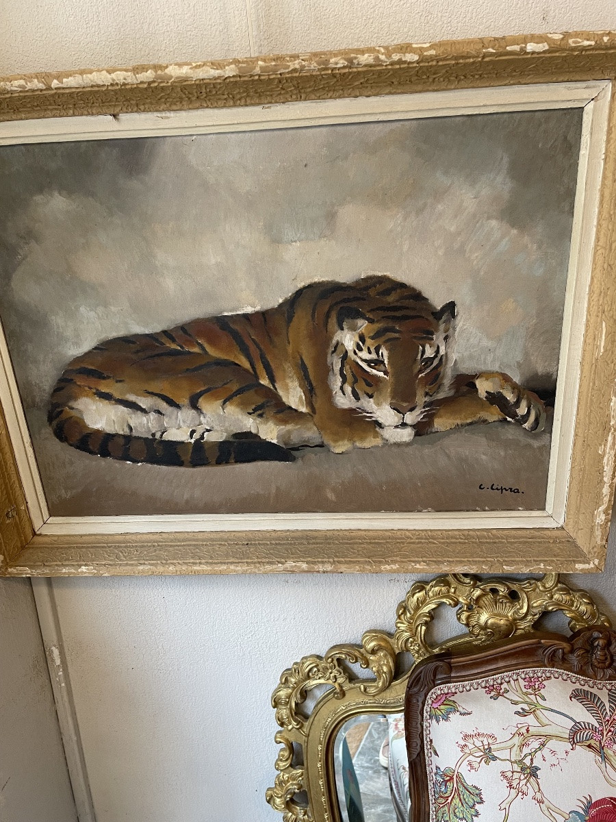 Follower Of Paul Jouve: Oil On Canvas By Camille Cipra , (1896-1952) Reclining Tiger-photo-4