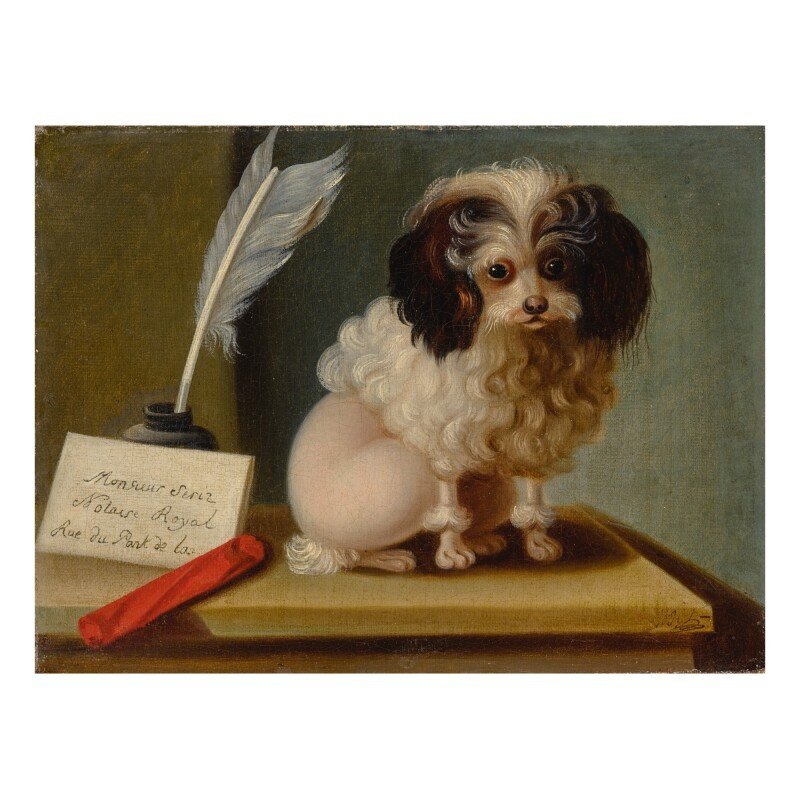 Jacques Barthélémy Delamarre,  Portrait Of "pompom" Said Dog Of Marie-antoinette-photo-2