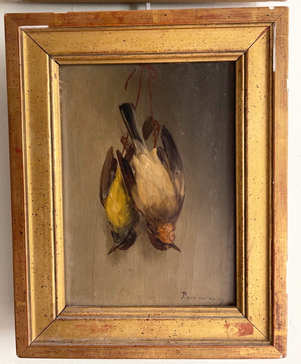 Nature Morte, Trophée De Passereaux 