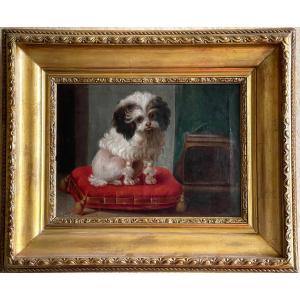 Jacques Barthélémy Delamarre,  Portrait Of "pompom" Said Dog Of Marie-antoinette