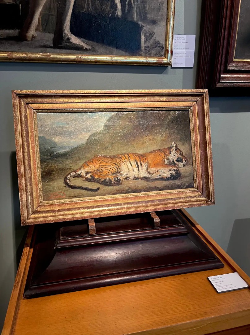 Pierre Andrieu (1821 - 1892) Tigre allongé-photo-2