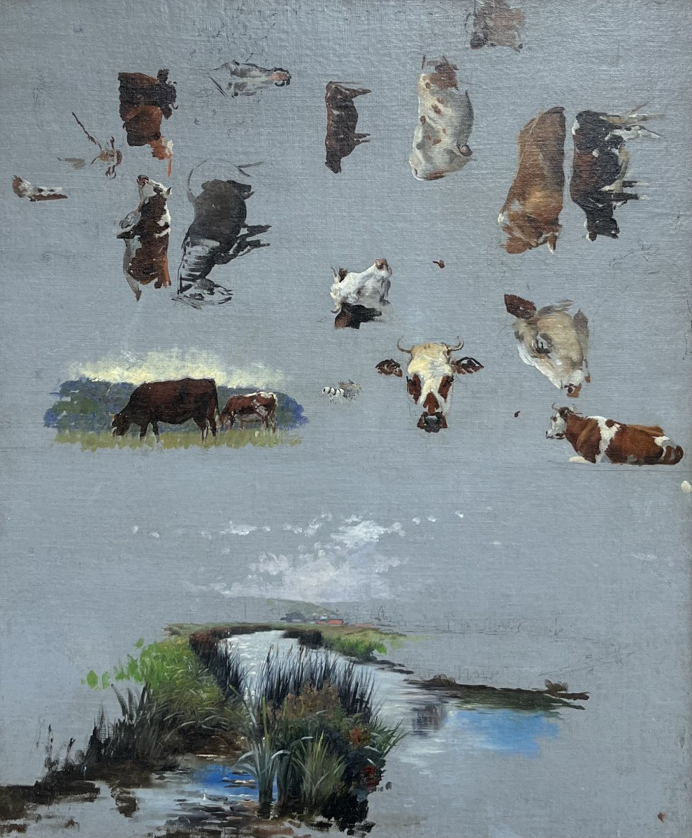 Study Of Cows, 18th-century School