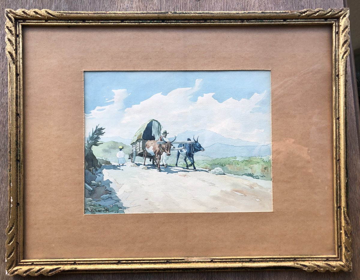 Watercolor Madagascar Team Of Zebus And Peasants Albert Ramanda (1901-1959) -photo-2