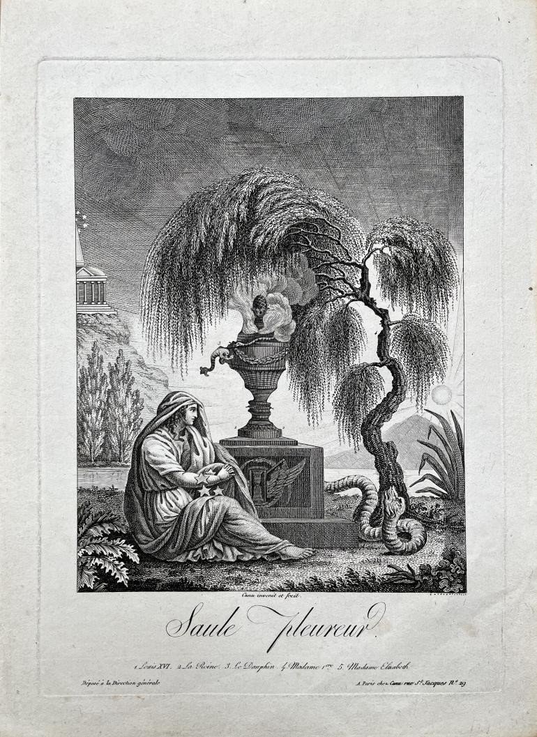 Jean Canu (1768 - 1844),  Saule Pleureur, Eau-forte Et Burin , 1814