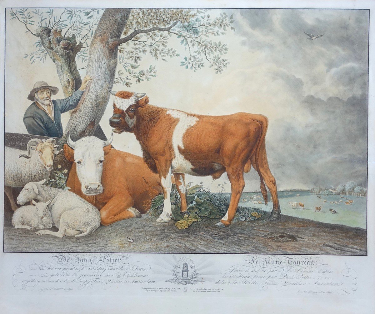 Alexandre Liernur (1769-1815), The Young Bull, After Paul Potter, Enhanced Etching