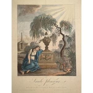 Paul-andré Basset, Publisher (1759 - 1829), Weeping Willow, Etching Handcolored