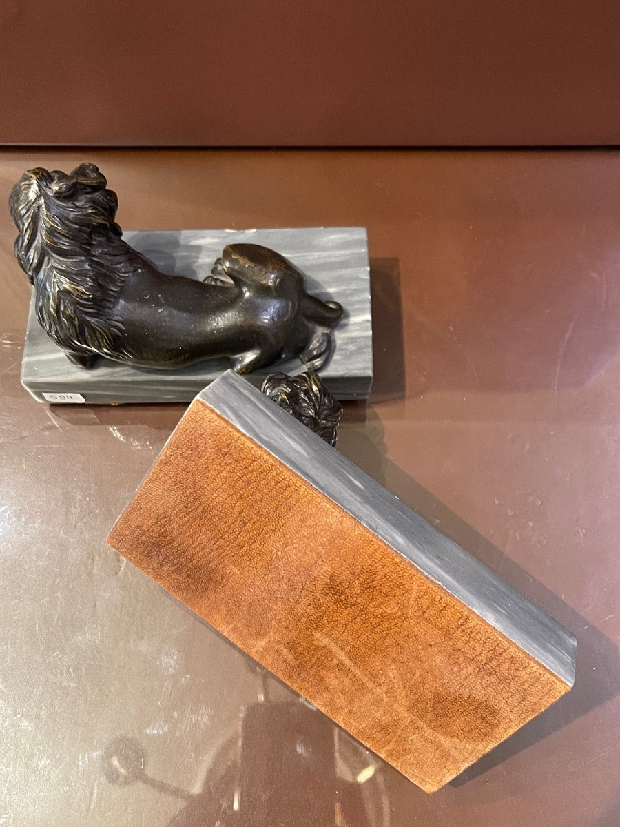 Paire de lions en bronze-photo-4