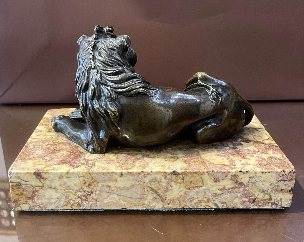 Lion en bronze -photo-3