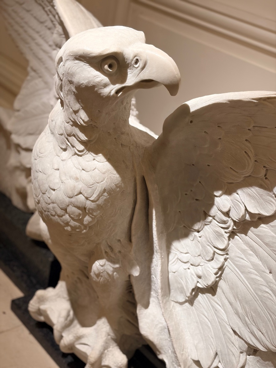 Imperial Eagle-photo-2
