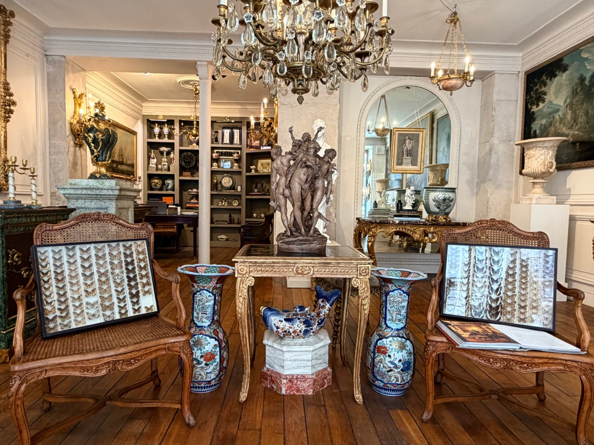 Paire de boite de papillons-photo-3