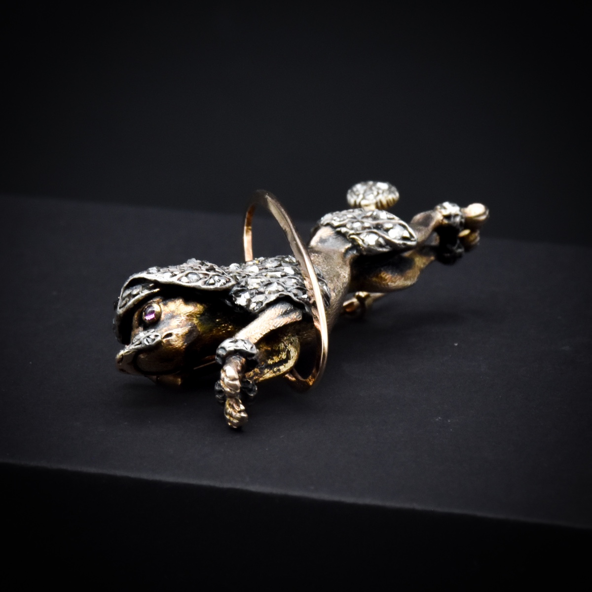 Broche caniche au cerceau – France, fin XIXe siècle-photo-1