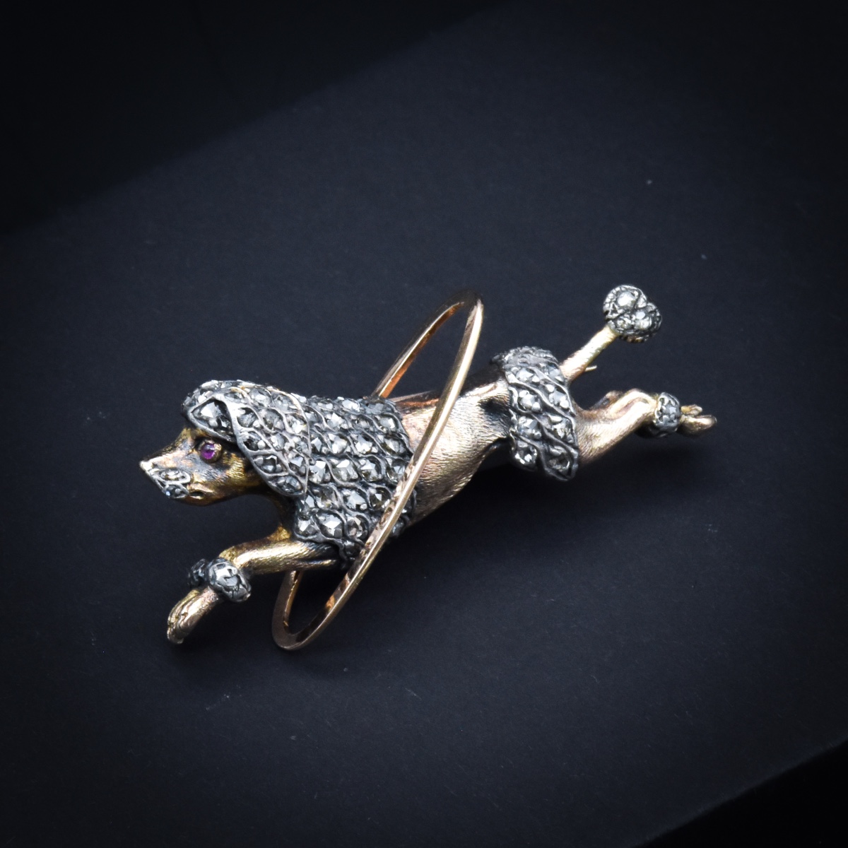 Broche caniche au cerceau – France, fin XIXe siècle