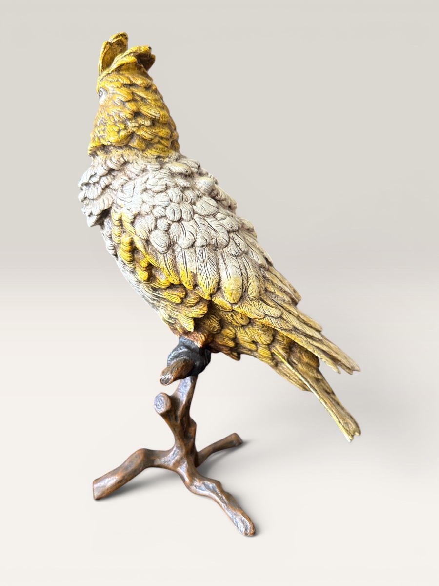 Cockatoo - Vienna Bronze, Late 19th Century, Atelier Bergmann-photo-2