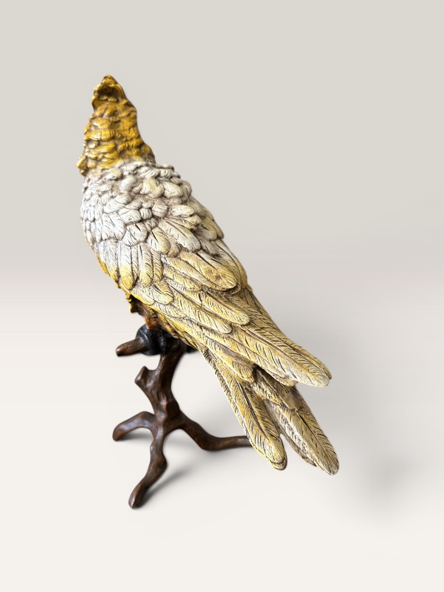 Cockatoo - Vienna Bronze, Late 19th Century, Atelier Bergmann-photo-3