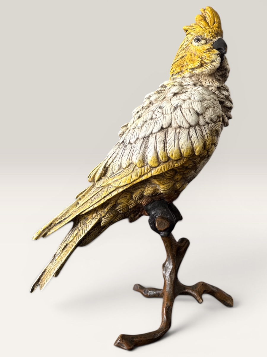 Cockatoo - Vienna Bronze, Late 19th Century, Atelier Bergmann