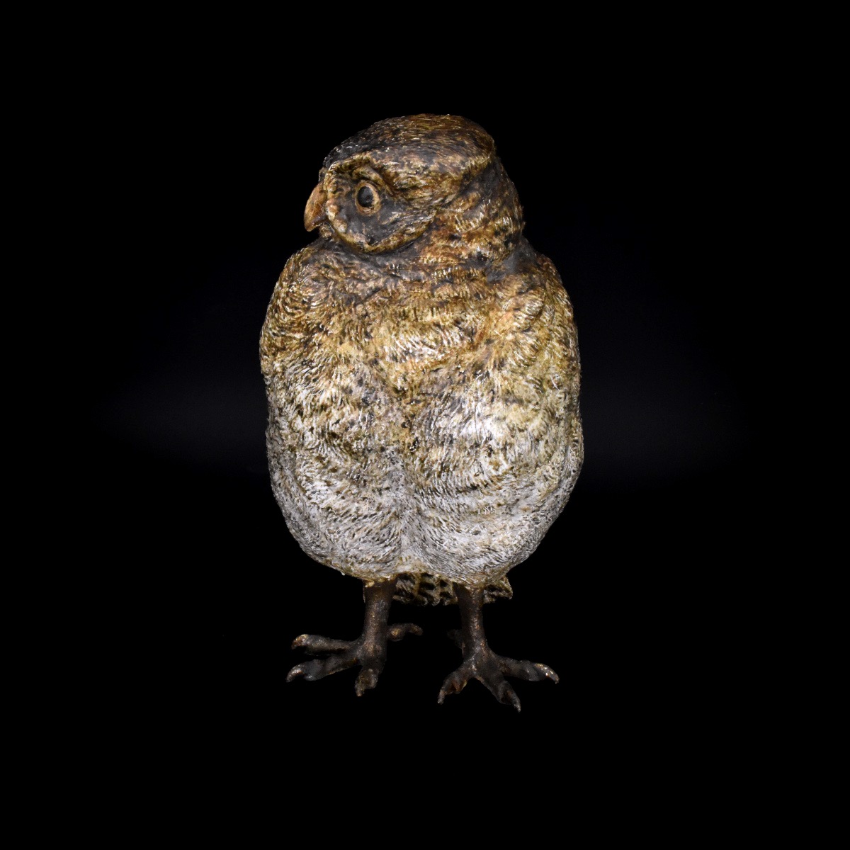 Chouette - Bronze de Vienne, Bergmann, fin du XIXe siècle-photo-1