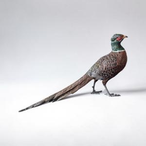 Polychrome Vienna Bronze Pheasant - Late 19th - Early 20th Century, Bergmann Workshop