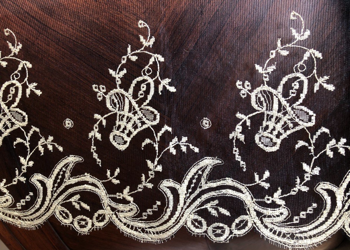Metering Lace Bicolor Embroidery-photo-4