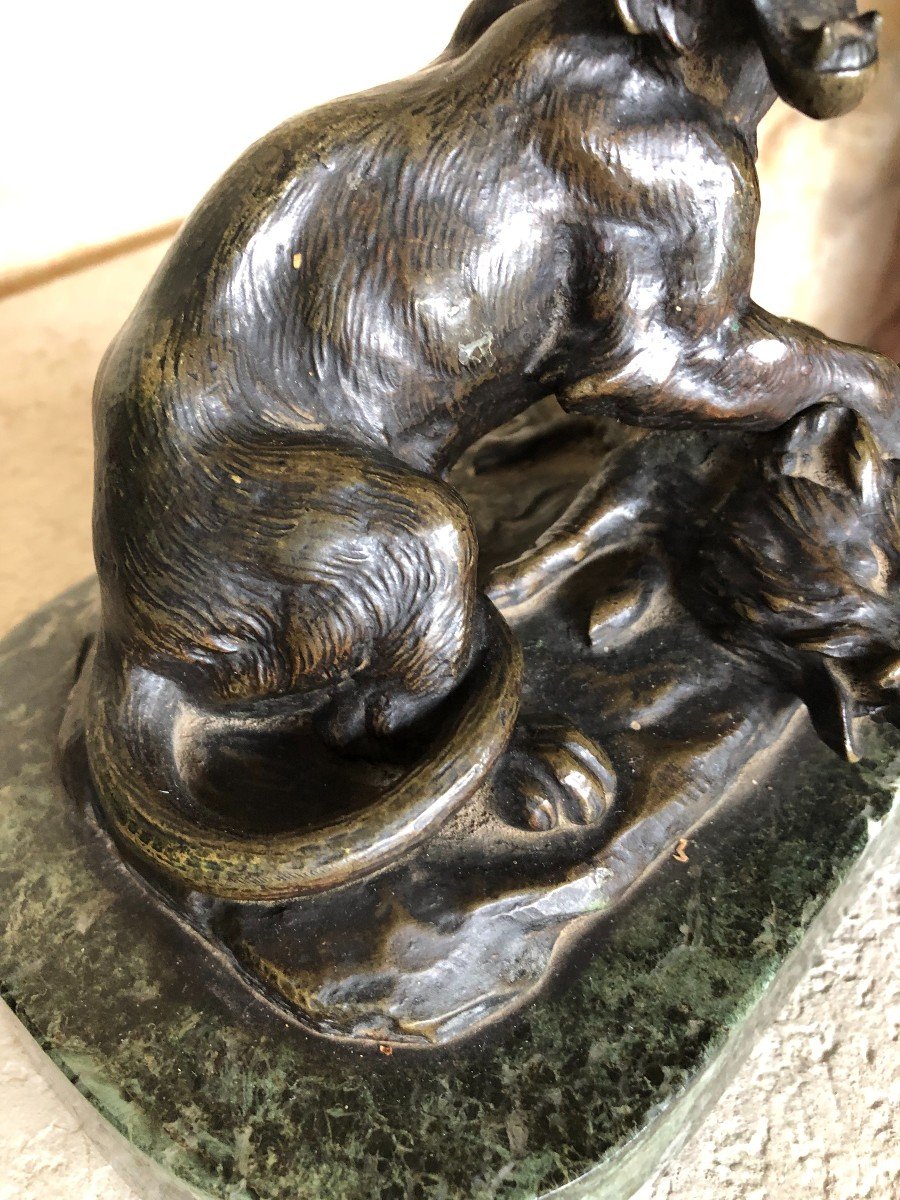 Sculpture Marbre Bronze Animalier Dlg De Barye Lionne Et  Sanglier Fonte Ancienne XIXème Siecle-photo-3